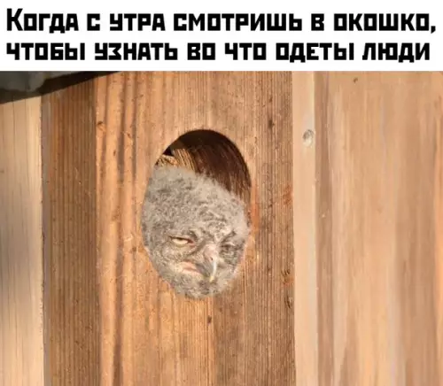 Смешная картинка №424645