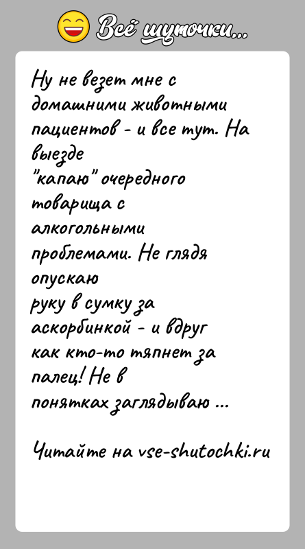 История: Ну не везет мне с домашними животными пациентов - и все тут. На выезде капаю очередного товарища с алкогольными проблемами. Не