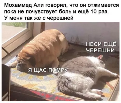 Смешная картинка №508896 С пельменями также