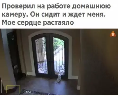 Смешная картинка №229278