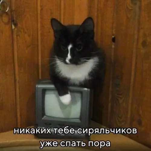 Смешная картинка №756159