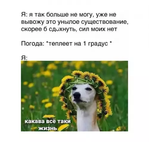 Смешная картинка №761467