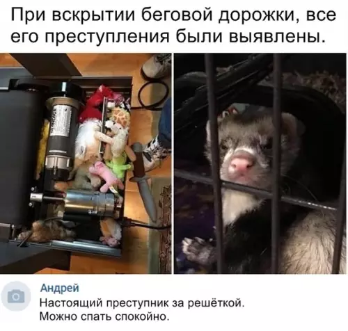 Смешная картинка №327001