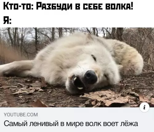 Смешная картинка №451059