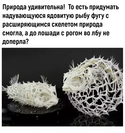 Смешная картинка №682824