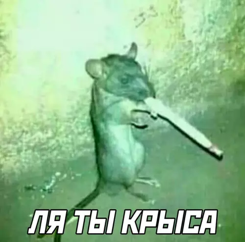 продолжение Смешная картинка №672226
