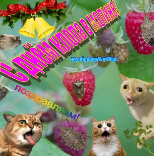 Смешная картинка №651081