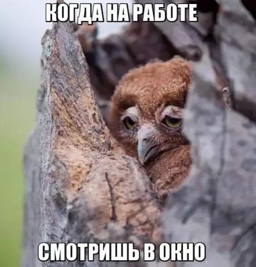 Смешная картинка №308743