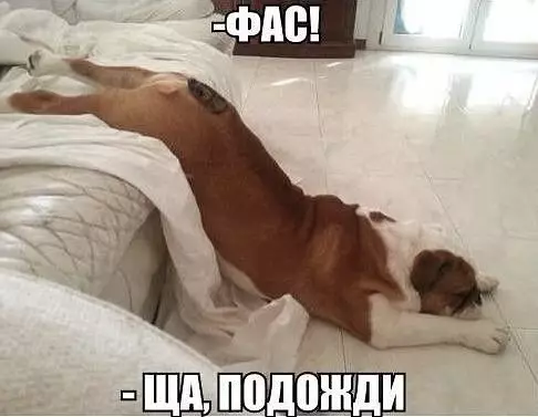 Смешная картинка №372831