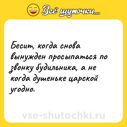 Шутка: Бесит, когда снова вынужден просыпаться по звонку будильника, а не когда душеньке царской угодно.