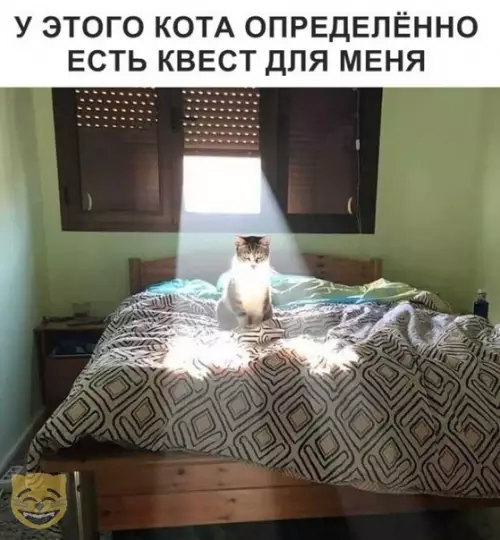 Смешная картинка №329904