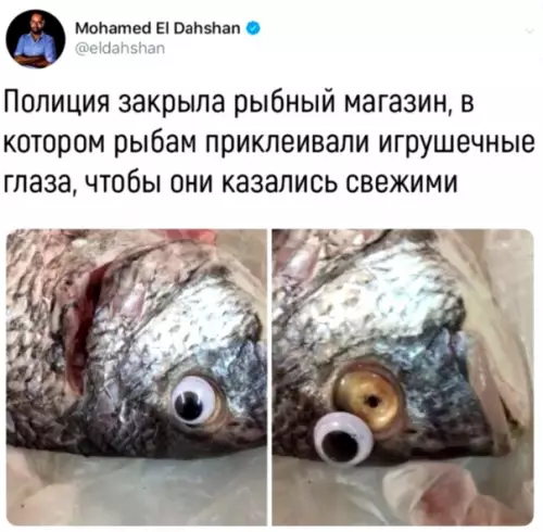 Смешная картинка №299906 За такими продавцами нужен глаз да глаз
