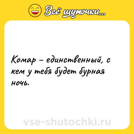 Шутка: Комар – единственный, с кем у тебя будет бурная ночь.