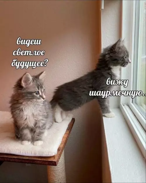 Смешная картинка №796475