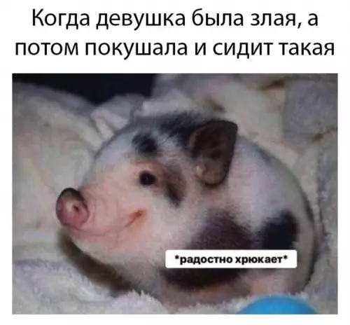 Смешная картинка №446886