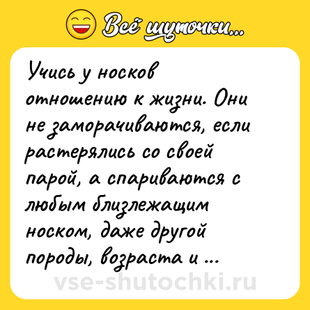 Шутка: Учись у носков отношению к жизни. Они не заморачиваются, если растерялись со своей парой, а спариваются с любым близлежащим носком, даже другой породы, возраста и цвета.