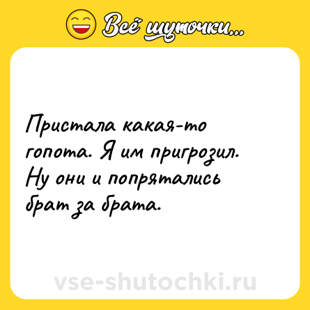 Шутка: Пристала какая-то гопота. Я им пригрозил. Ну они и попрятались брат за брата.