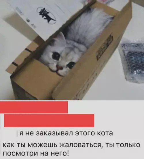 Смешная картинка №507121