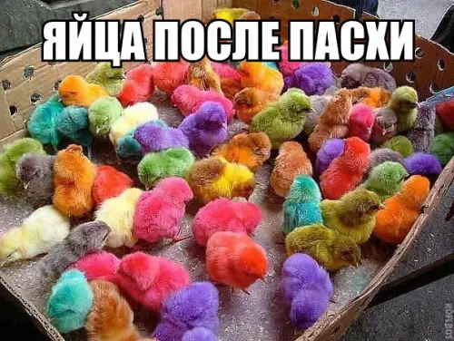 Смешная картинка №176892 пасха