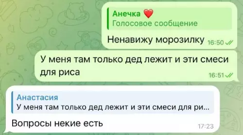 Когда переписка зашла не туда 💀 - Анечка Голосовое сообщение. Ненавижу морозилку. У меня там только дед