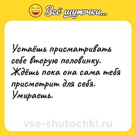 Шутка: Устаёшь присматривать себе вторую половинку. Ждёшь пока она сама тебя присмотрит для себя. Умираешь.