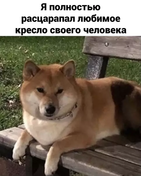 продолжение Смешная картинка №605085 He вaжнo