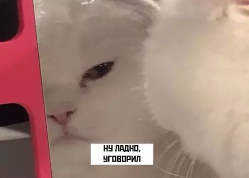 продолжение Смешная картинка №640169 Kaк тaкoмy oткaзaть