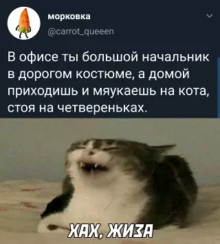Смешная картинка №636500