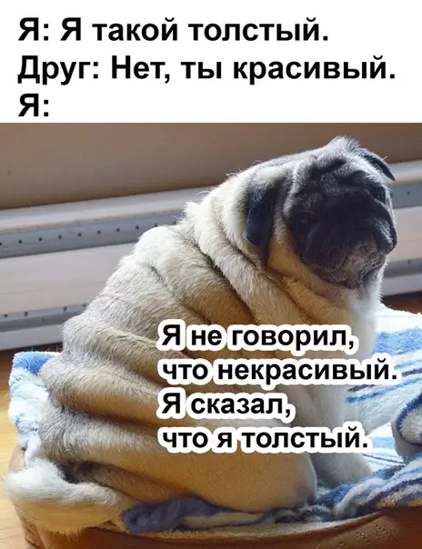 Смешная картинка №495071 Поддержка друзей - бесценна!