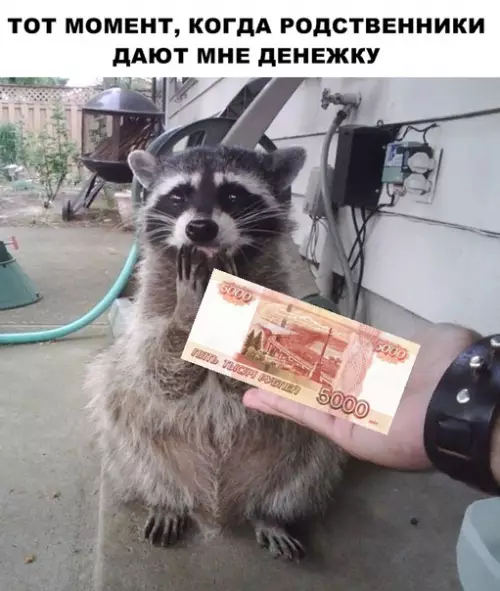 Смешная картинка №294297