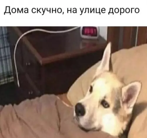 Смешная картинка №774580