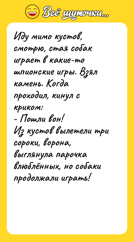 Иду мимо кустов, смотрю, стая собак играет в какие-то шпионские