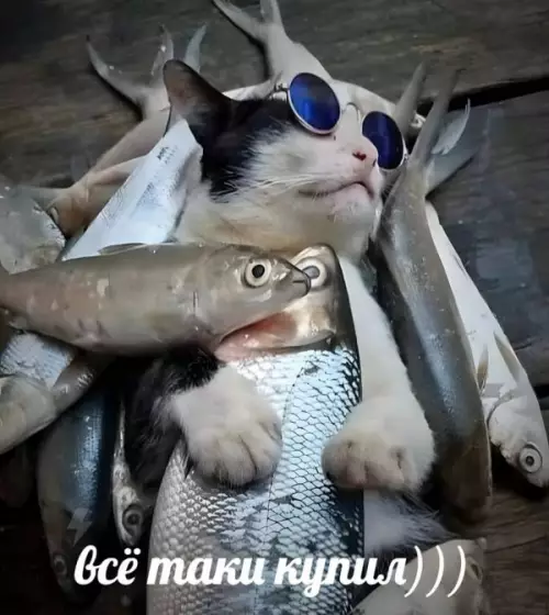 Смешная картинка №656263