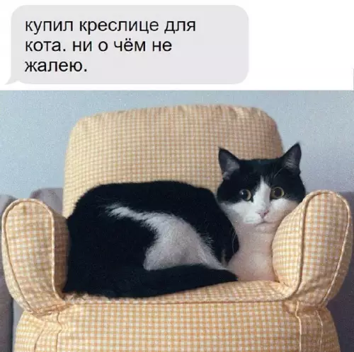Смешная картинка №685420