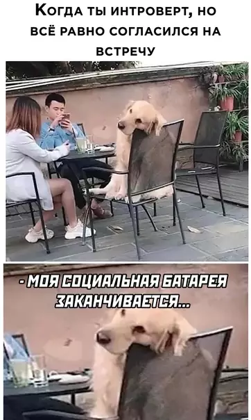Смешная картинка №603484