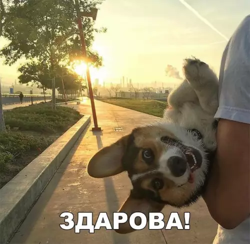 Смешная картинка №268765