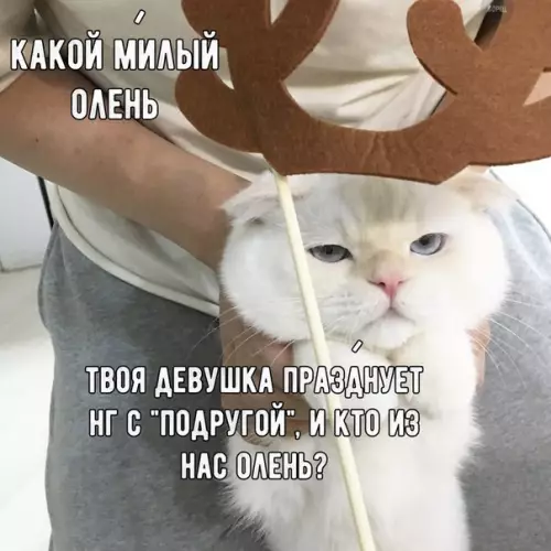 Смешная картинка №236655