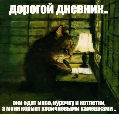 Смешная картинка №798413