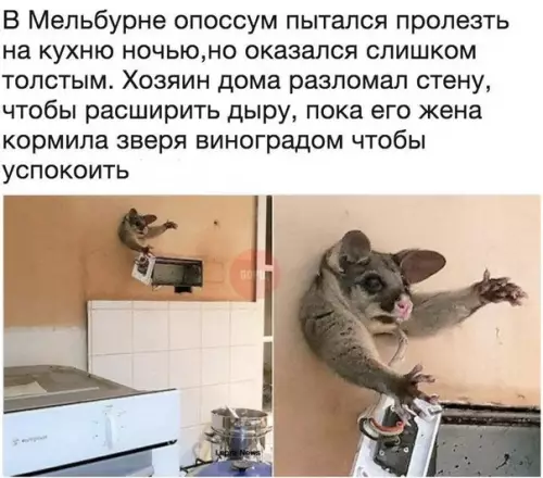 Смешная картинка №254987 Застрял в текстурах