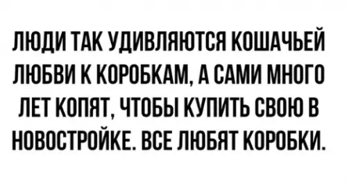 Смешная картинка №314357 Все мы нeмнoгo кoты.