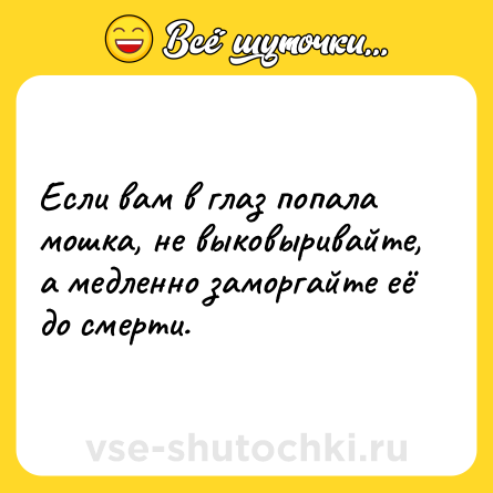 Шутка: Если вам в глаз попала мошка, не выковыривайте, а медленно заморгайте её до смерти.