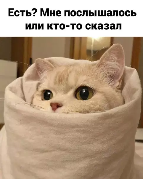 продолжение Смешная картинка №566561 Ecть?