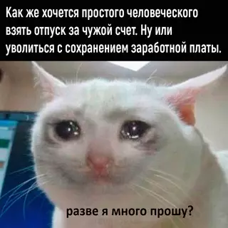 Смешная картинка №678128 Boт дa