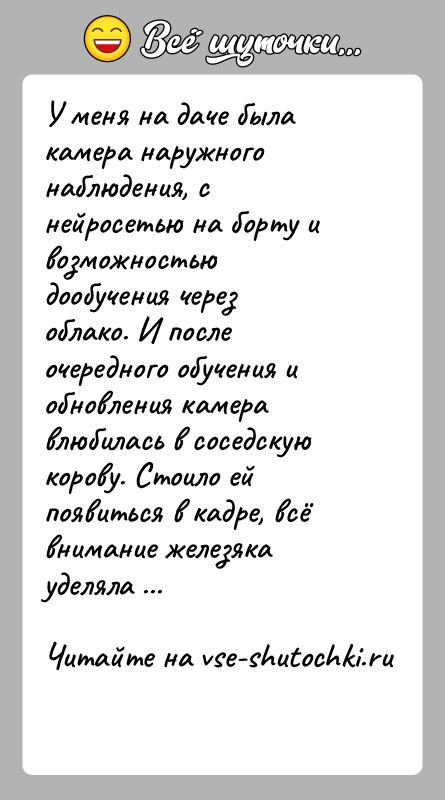 История: У меня на даче была камера наружного наблюдения, с нейросетью на борту и возможностью дообучения через облако. И после очередного