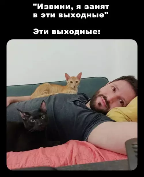 Смешная картинка №659619