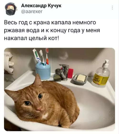 Смешная картинка №708334