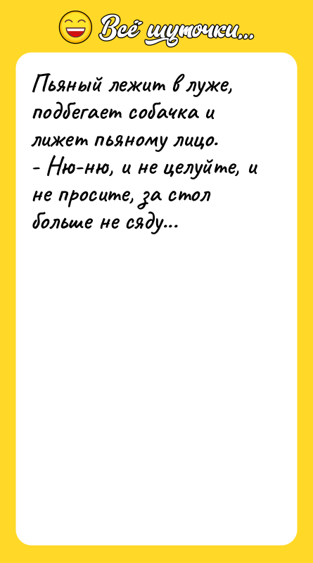 Пьяный лежит в луже, подбегает собачка и лижет пьяному лицо.