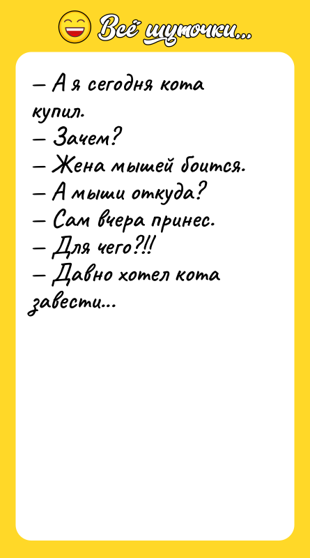 А я сегодня кота купил. Зачем?