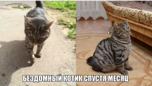 Смешная картинка №223267