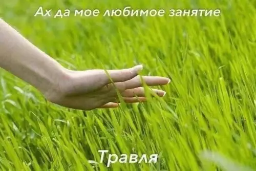 Смешная картинка №781265